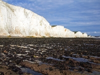 IMG 02058 7D 800  Seven Sisters, East Sussex