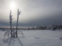 Winter  6D 104105 1024 © Iven Eissner : Aufnahmeort, Deutschland, Erzgebirge, Europa, Sachsen, Winter