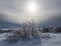arctic feeling, Osterzgebirge  6D 104135HDR 1024 © Iven Eissner : Aufnahmeort, Deutschland, Erzgebirge, Europa, Sachsen, Winter