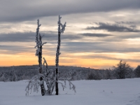 Winterabend  6D 104385 1024 © Iven Eissner : Aufnahmeort, Deutschland, Erzgebirge, Europa, Sachsen, Winter