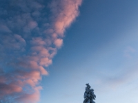 Abend über Zinnwald  6D 105318 1024 © Iven Eissner : Aufnahmeort, Deutschland, Erzgebirge, Europa, Sachsen, Winter