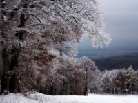 Der erste Schnee, tschechisches Erzgebirge  6D 152333 2k © Iven Eissner