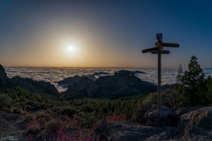 Wandern im Mondlicht