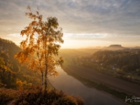 Birke überm Elbtal, Oktober 2015  6D 92860 NAL © Iven Eissner : Aufnahmeort, Deutschland, Elbsandsteingebirge, Europa, Rathen, Sachsen