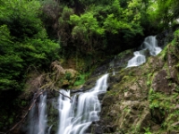 Torc Wasserfall  6D 59825 1920 © Iven Eissner : Bach, Gewässer, Landschaft, Langzeitbelichtung, Wasserfall, Weiches Wasser