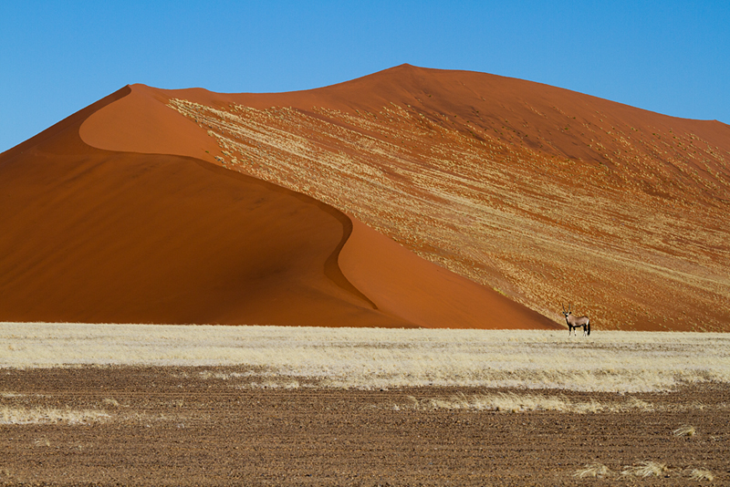 7D_18477_800.jpg - Dünen (Zufahrt zum Sossusvlei)