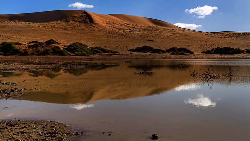 7D_18516_HD800.jpg - Sossusvlei