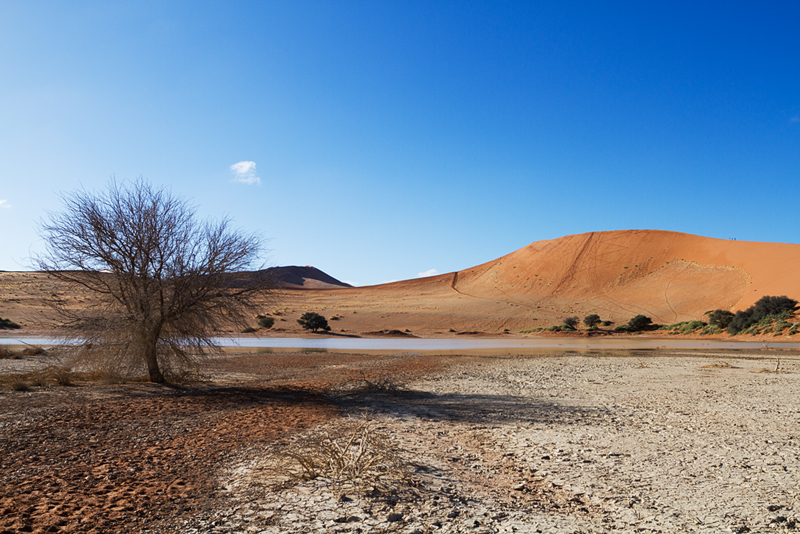 7D_18526_800.jpg - Wasser im Vlei, Sossusvlei