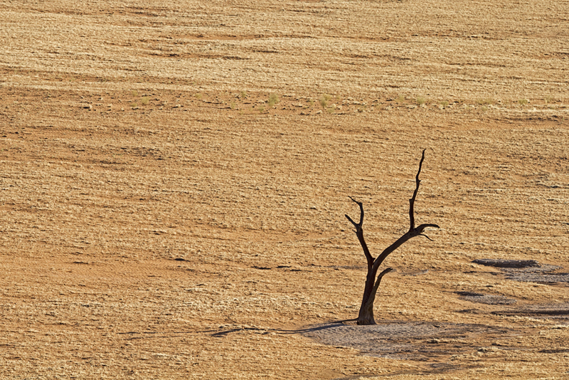 7D_18572_800.jpg - Namib