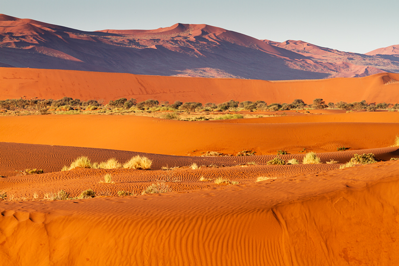 7D_18724_800.jpg - Kräftige Farben, Namib