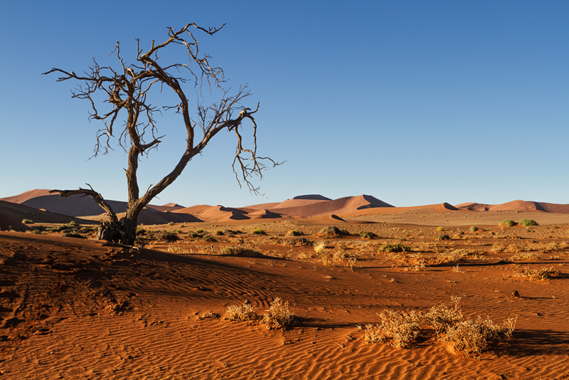 7D_18864_800.jpg - Auf dem Weg zum Sossusvlei