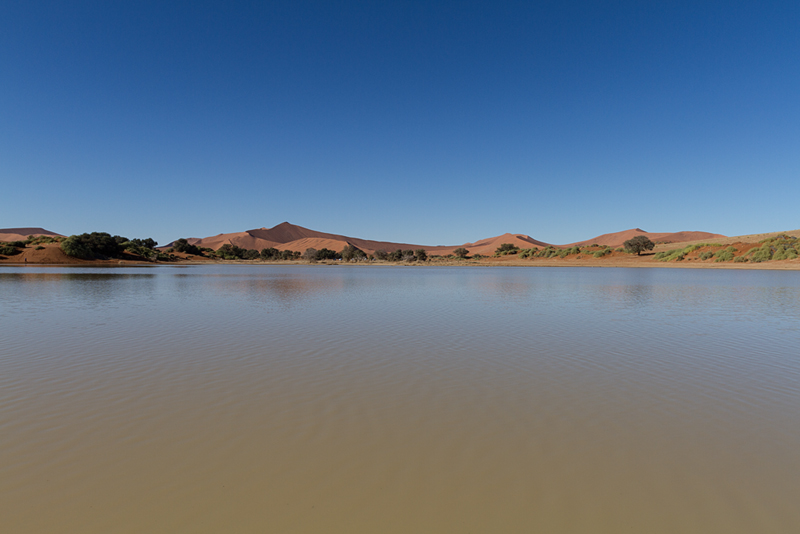 7D_19065_800.jpg - Wüstenmeer - Sossusvlei