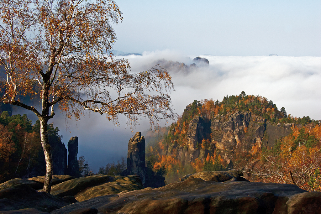 IMG_25642_20D_RAW1024.jpg - Aussicht vom Carolafels, Elbsandsteingebirge (Sächsische Schweiz)