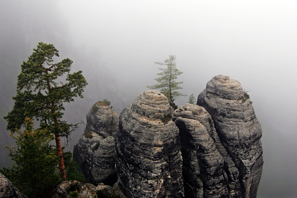 img_6899_1024.jpg - Nebel im Wehlgrund, Elbsandsteingebirge (Sächsische Schweiz)