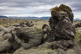 6D_78454-HDR_1024