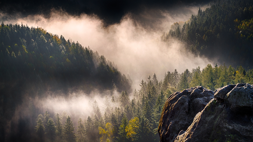 D7_23337_HDR_v2_1024.jpg - Nebel im Tal, Elbsandsteingebirge