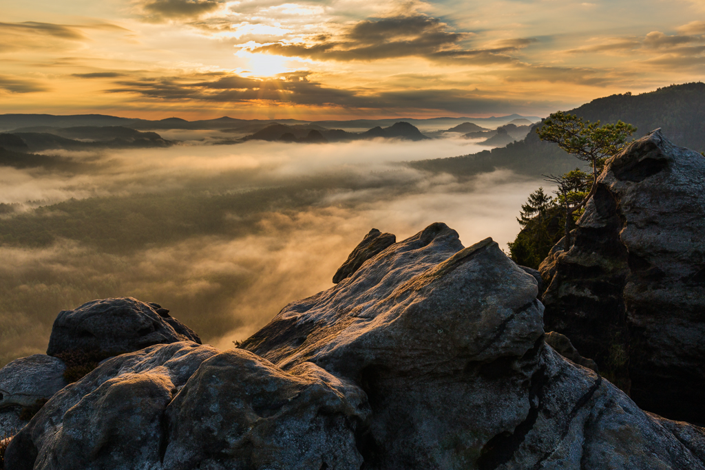 6D_07180_1024.jpg - Nebelmorgen, Elbsandsteingebirge