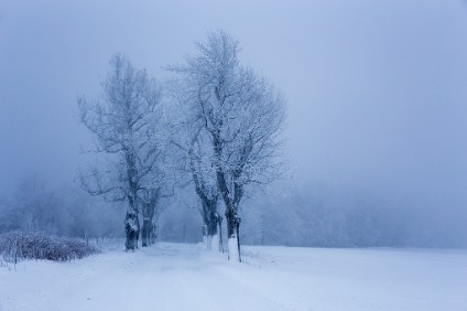 6D_102574_1024 Winter in Böhmen (nahe Telnice)