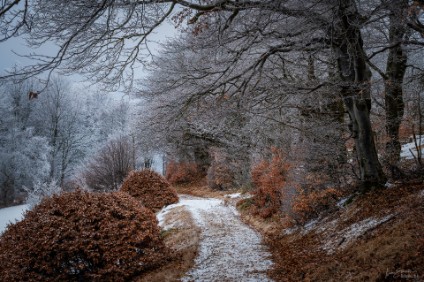 Frostweg