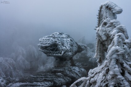 a7IV_25_07512_V2_NAL