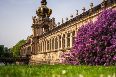 Zwinger