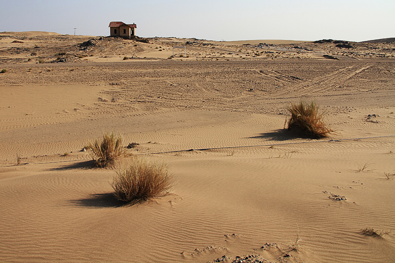 IMG_08271_7D_800.jpg - Grasplatz, Namib