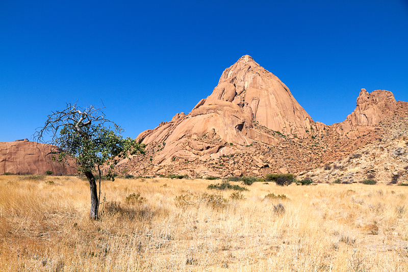 IMG_09693_7D_800.jpg - Spitzkoppe