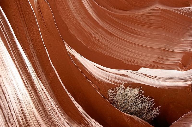 IMG_9684.jpg - Lower Antelope Canyon, Navajo Tribal Park