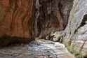 narrows(0495)_web800