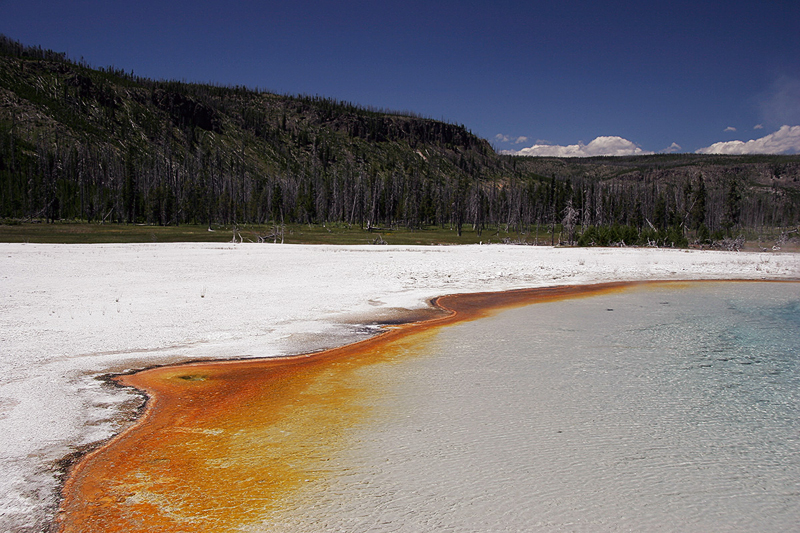 IMG_8033_800.jpg - Midway Geyser Basin, Yellowstone NP