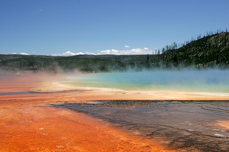 IMG_8070_800.jpg - Midway Geyser Basin, Yellowstone NP