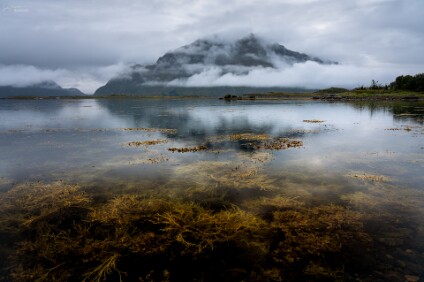 a7IV_25_06957_NAL