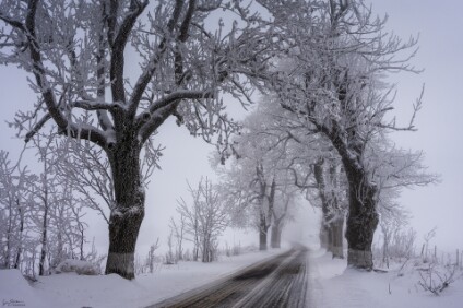 a7IV_26_00795_NAL Böhmisches Erzgebirge