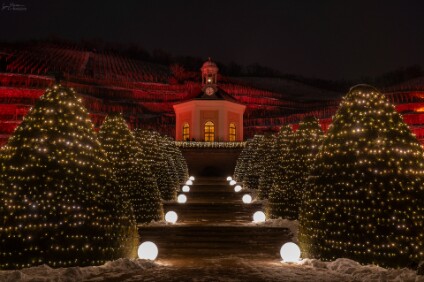 a7RIII_26_08979_NAL Schloss Wackerbarth